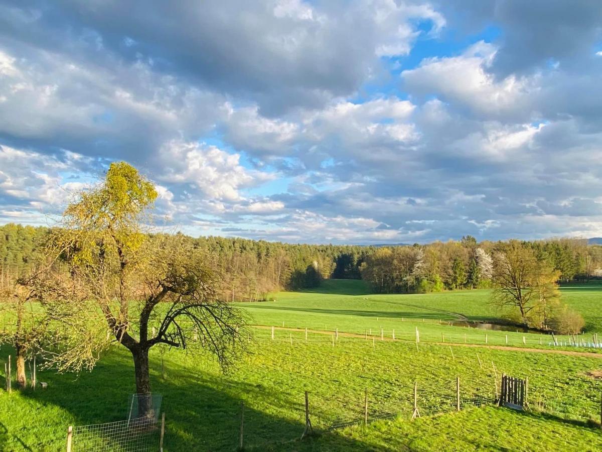 Villa Lebenshof Varm - Die Vegane Farm Sulb Exterior foto