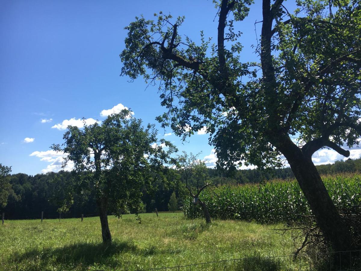 Villa Lebenshof Varm - Die Vegane Farm Sulb Exterior foto