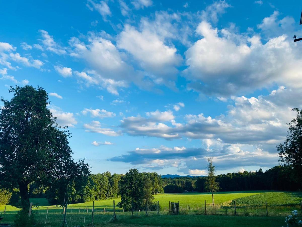 Villa Lebenshof Varm - Die Vegane Farm Sulb Exterior foto